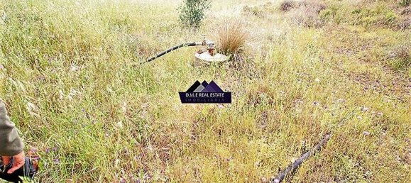9160m² Land in Castro Marim, Portugal No. 31338 8