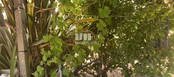 570m² Land in Marco de Canaveses, Portugal No. 54908 3