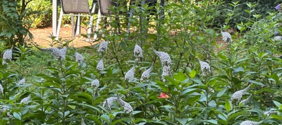 Apartamento T1 em Braunschweig, Germany N.º 242456 11