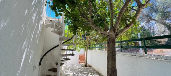 Вилла с 4 спальнями в Андрано, Италия № 316539 45