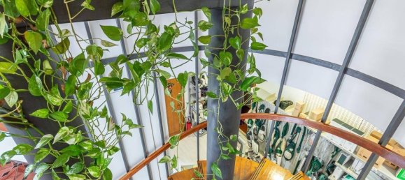 5-Zimmer Gewerbliche Immobilie in Padua, Italy, Nr. 267467 15