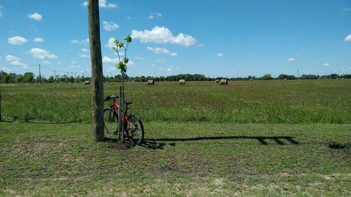 Grundstück in Campo Creado, Argentina, Nr. 112308
