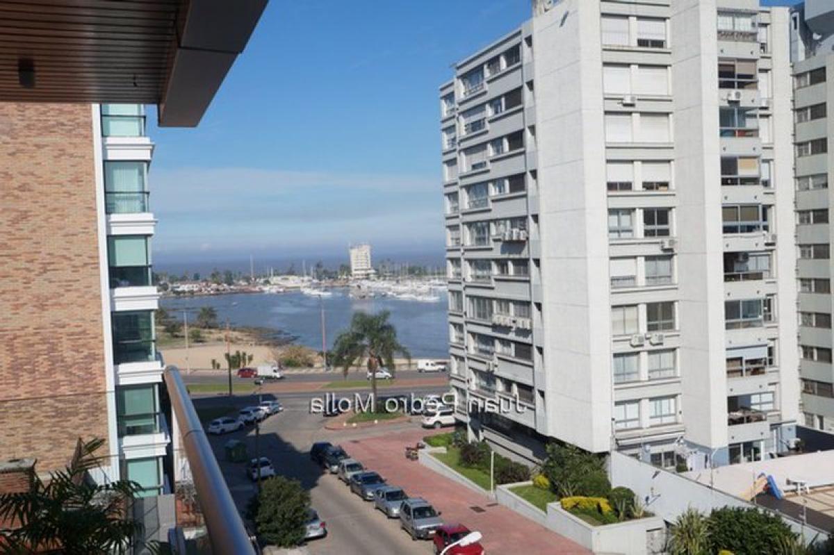 Apartamento de 2 dormitorios en Montevideo, Uruguay No. 6566