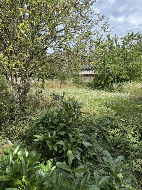  Land in Bergstrase, Germany No. 224064