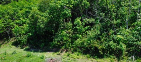 Коммерческая недвижимость 14400м² в Паклок, Таиланд № 12584 4