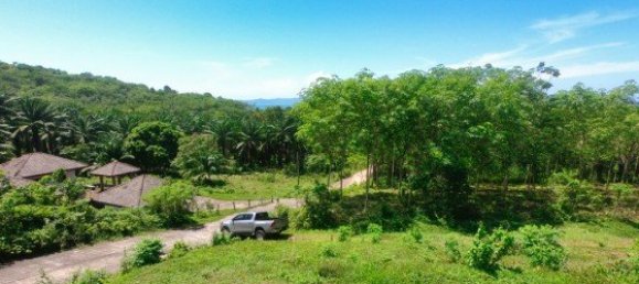 Коммерческая недвижимость 14400м² в Паклок, Таиланд № 12584 8