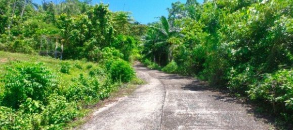 Коммерческая недвижимость 14400м² в Паклок, Таиланд № 12584 12