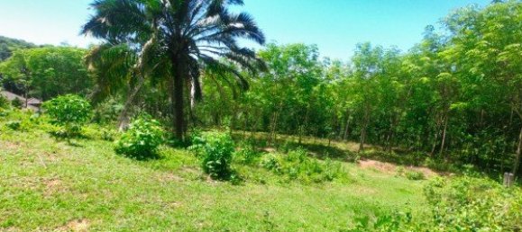 Коммерческая недвижимость 14400м² в Паклок, Таиланд № 12584 13