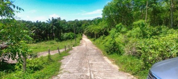 Коммерческая недвижимость 14400м² в Паклок, Таиланд № 12584 2