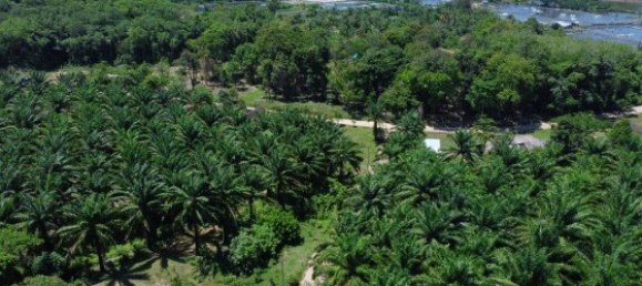 Коммерческая недвижимость 14400м² в Паклок, Таиланд № 12584 18