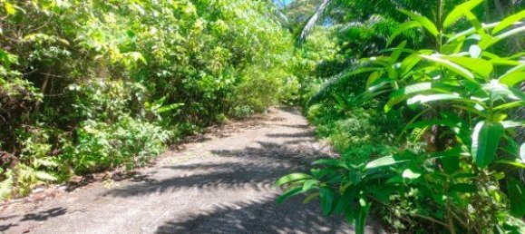 Коммерческая недвижимость 14400м² в Паклок, Таиланд № 12584 16