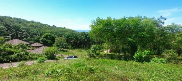 Коммерческая недвижимость 14400м² в Паклок, Таиланд № 12584 6