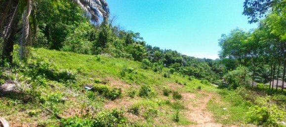 Коммерческая недвижимость 14400м² в Паклок, Таиланд № 12584 10