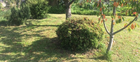 4غرفة فيلا في Luserna San Giovanni, Italy رقم 257069 2