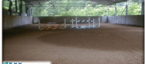 Casa de 4 dormitorios en Premosello-Chiovenda, Italy No. 297773 6