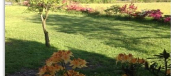 Casa de 4 dormitorios en Premosello-Chiovenda, Italy No. 297773 7