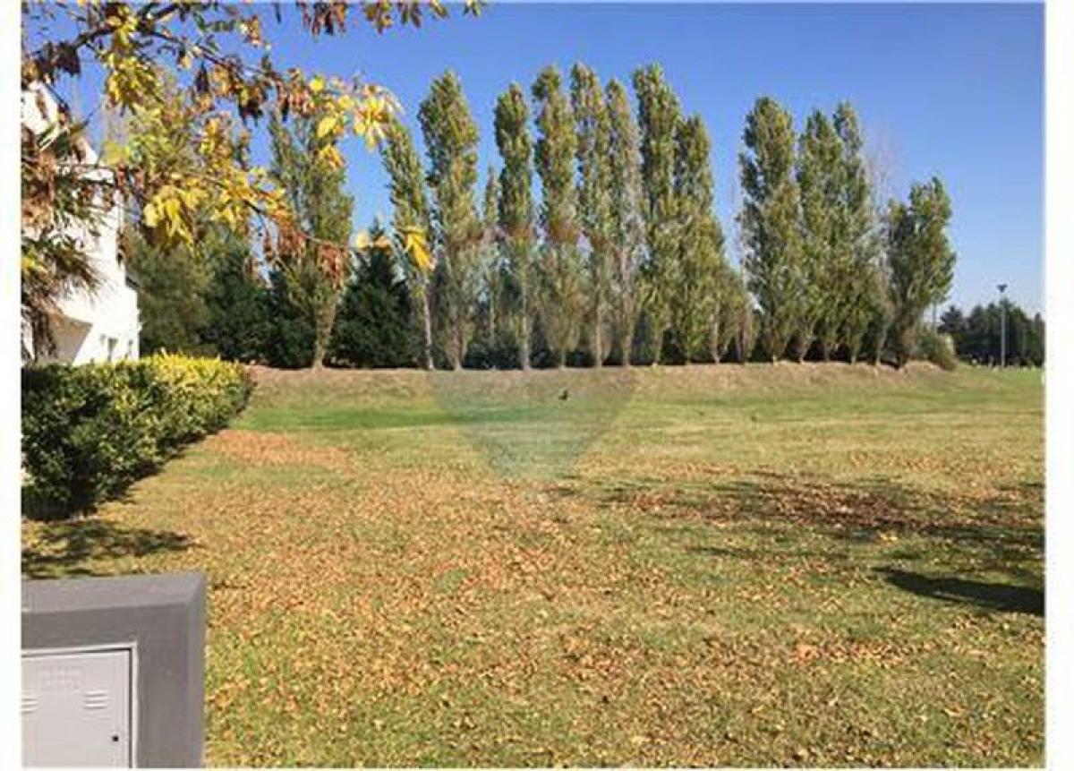  Land in San Isidro, Argentina No. 119655