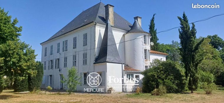13 bedrooms Castles in Charente, France No. 306916