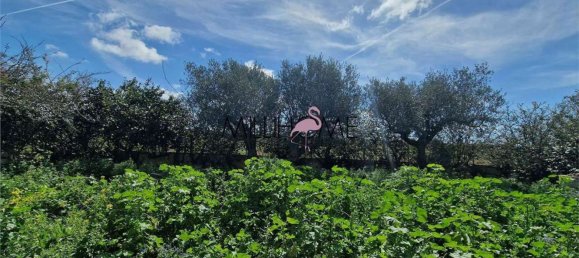 3-Zimmer Haus in Marsala, Italy, Nr. 50279 25