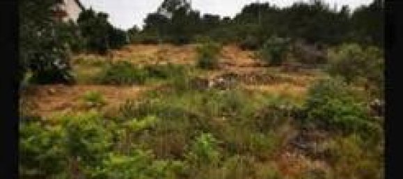 Земельный участок 1120м² в Ла-Бисбаль-дель-Пенедес, Испания № 165961 4