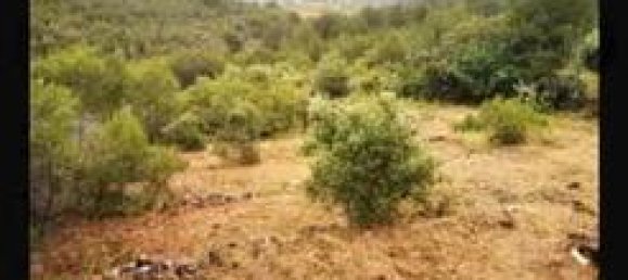 Земельный участок 1120м² в Ла-Бисбаль-дель-Пенедес, Испания № 165961 3