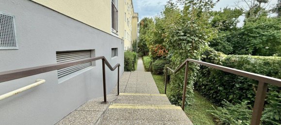 3غرفة شقة في Baden, Austria رقم 260680 4