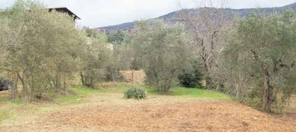 10-Zimmer Villa in Cortona, Italy, Nr. 52108 9