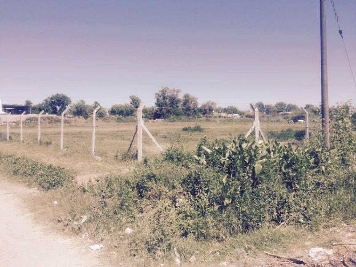 Terreno en Tigre, Argentina No. 41533