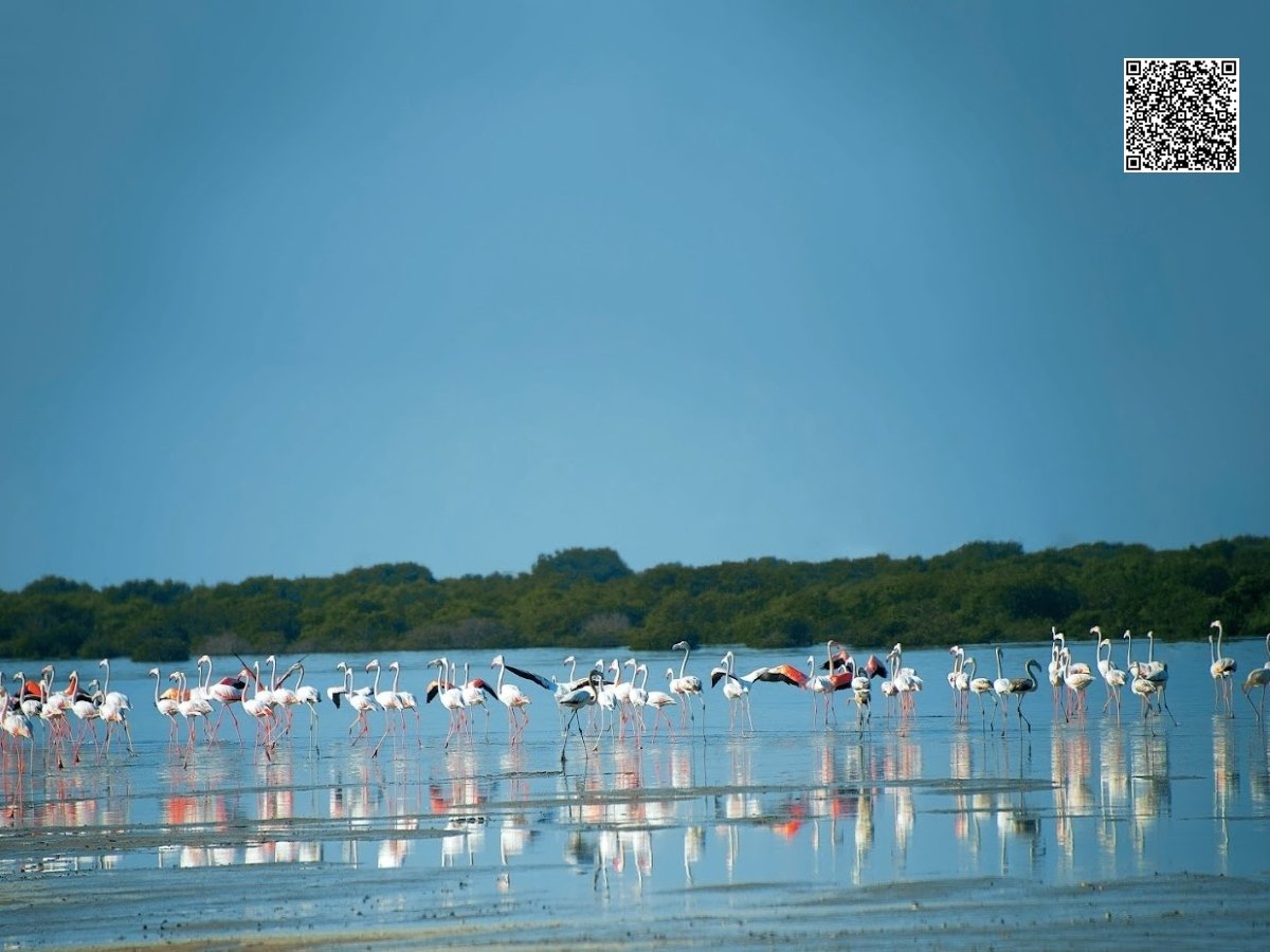 Terreno en Al Zorah, UAE 10187 m² No. 106424