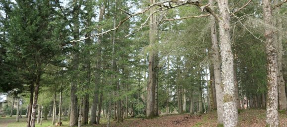 5 غرف نوم منزل في Lamotte-Beuvron, France رقم 76575 3