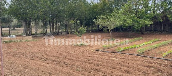 Villa de 2 dormitorios en Alghero, Italy No. 91154 5