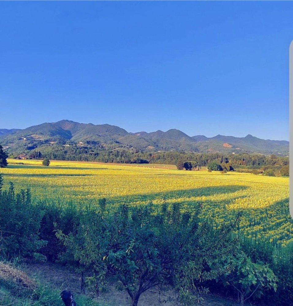 10غرفة منزل في Borgo San Lorenzo, Italy رقم 152983