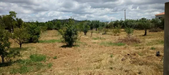 3 bedrooms House in Sao Bras de Alportel, Portugal No. 120046 21