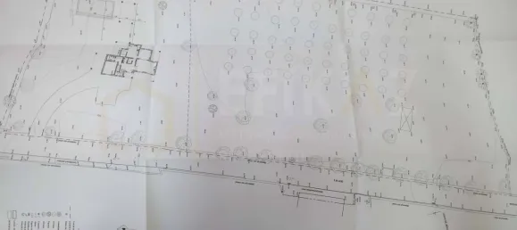 3 bedrooms House in Sao Bras de Alportel, Portugal No. 120046 22