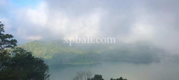  قطعة أرض في Lovina, Indonesia 5000متر مربع رقم 4128 8