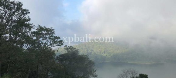  قطعة أرض في Lovina, Indonesia 5000متر مربع رقم 4128 6