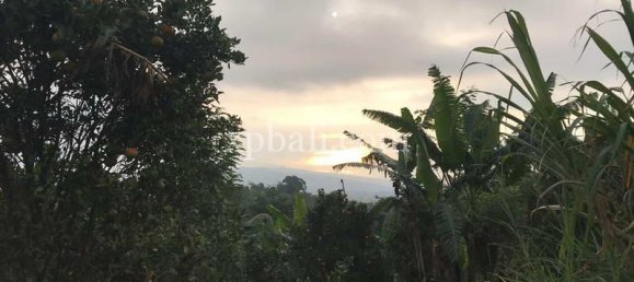  قطعة أرض في Lovina, Indonesia 5000متر مربع رقم 4128 7