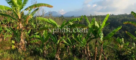  قطعة أرض في Lovina, Indonesia 5000متر مربع رقم 4128 13