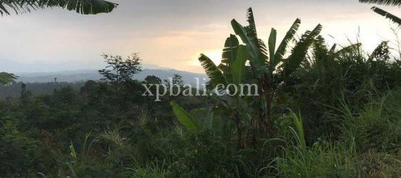  قطعة أرض في Lovina, Indonesia 5000متر مربع رقم 4128 3