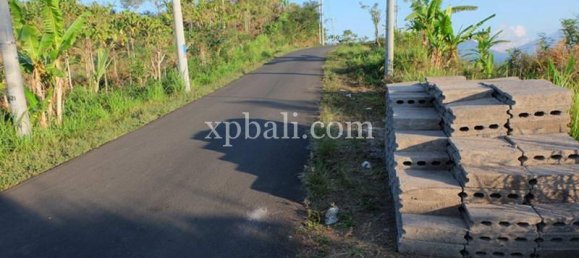  قطعة أرض في Lovina, Indonesia 5000متر مربع رقم 4128 11