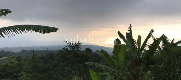  قطعة أرض في Lovina, Indonesia 5000متر مربع رقم 4128 5