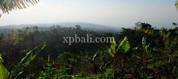  قطعة أرض في Lovina, Indonesia 5000متر مربع رقم 4128 12