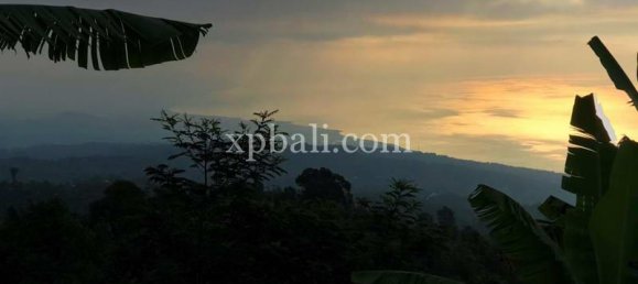  قطعة أرض في Lovina, Indonesia 5000متر مربع رقم 4128 9