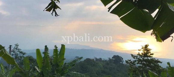  قطعة أرض في Lovina, Indonesia 5000متر مربع رقم 4128 10