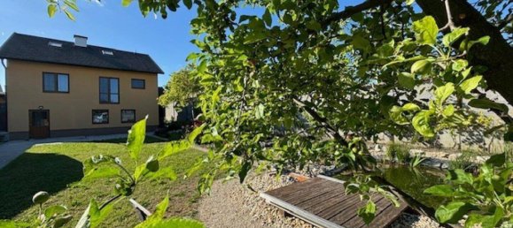 5-Zimmer Haus in Gols, Austria, Nr. 103992 4