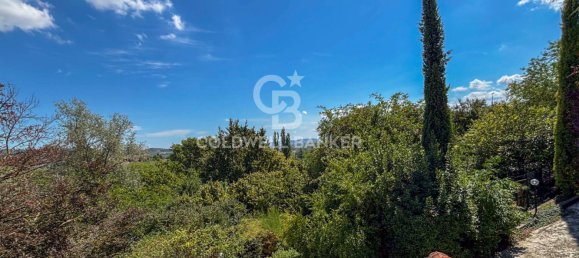 10 rooms Villa in Alessandria, Italy No. 312757 32