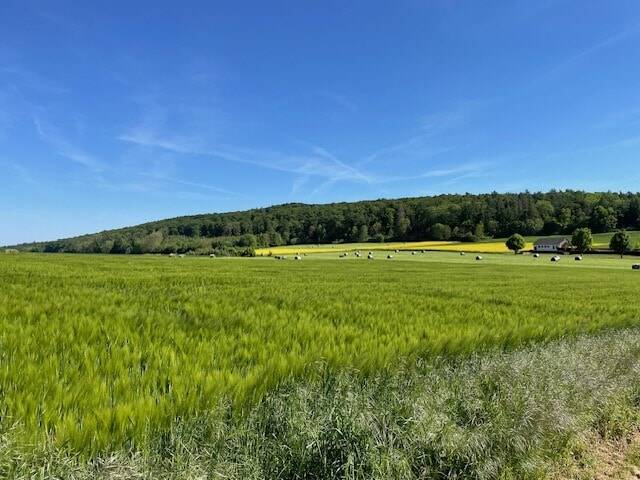 Terreno em Kassel, Germany N.º 303152