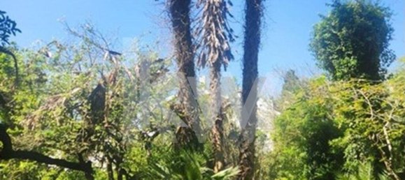 قطعة أرض في Cascais, Portugal 654متر مربع رقم 120495 10