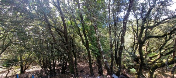 Grundstück in Foce, France 544m², Nr. 246329 5