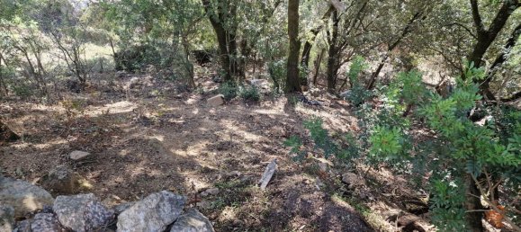 Grundstück in Foce, France 544m², Nr. 246329 6